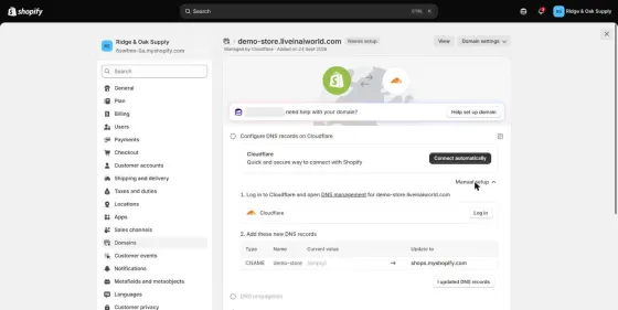 Manual setup for our subdomain: one CNAME record, demo-store pointing to shops.myshopify.com.