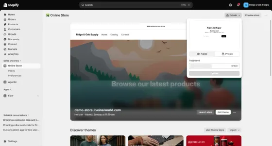 The Private button opens a Public / Private switch; Launch store sits on the theme card.
