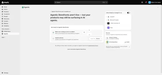 Shopify Catalog requires a Shopify Payments account in good standing among its conditions. Our store’s catalog read 0 products.