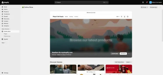 Online Store: our store on the free Horizon theme, still Private, with Launch store and Edit theme.